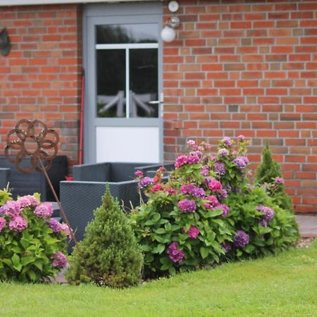 Balzwiekje Auszeit Auf Pferdehof In Ostfriesland Ihlow  Kültér fotó