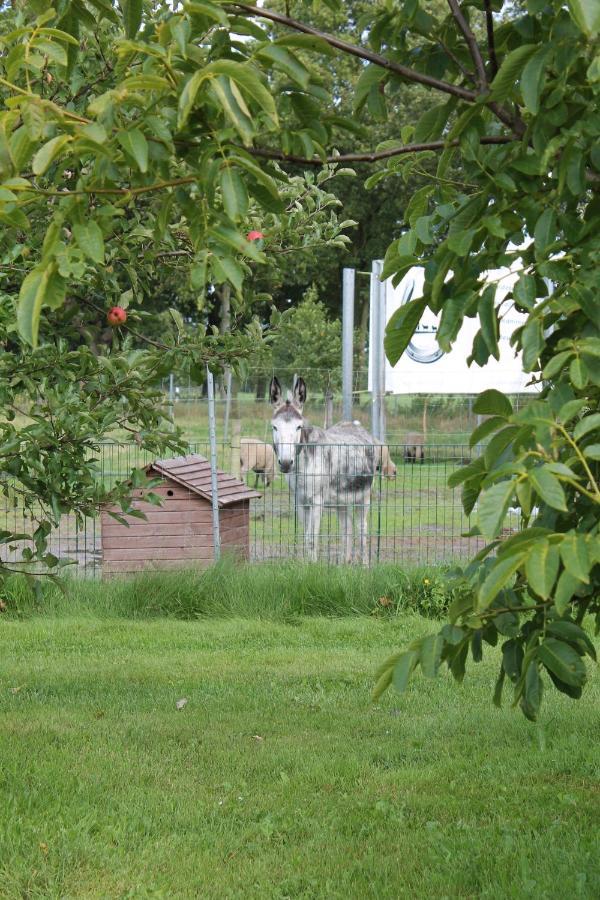 Balzwiekje Auszeit Auf Pferdehof In Ostfriesland Ihlow  Kültér fotó